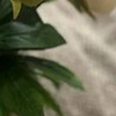 Студия тибетских поющих чаш