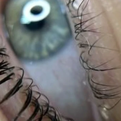 12.brows в Тольятти улица Мира, 62