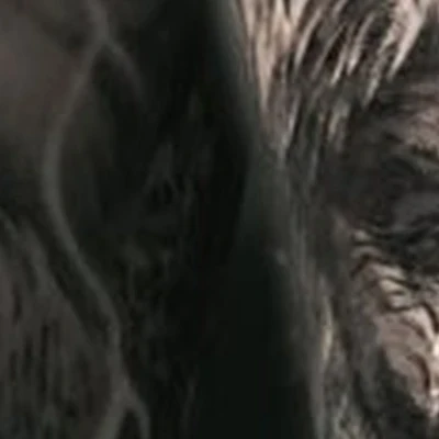 Fox Box Tattoo в Орле Маслозаводской переулок, 2