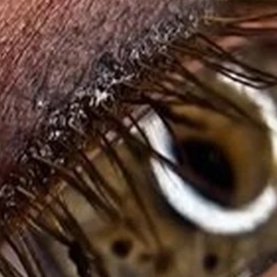 Beauty Girl в Балашихе улица Граничная, 16 ст1