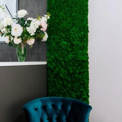 Icon skin в Анапе Краснодарский край, Анапа, улица Владимирская, 154 к2, 1 этаж. Помещение 280