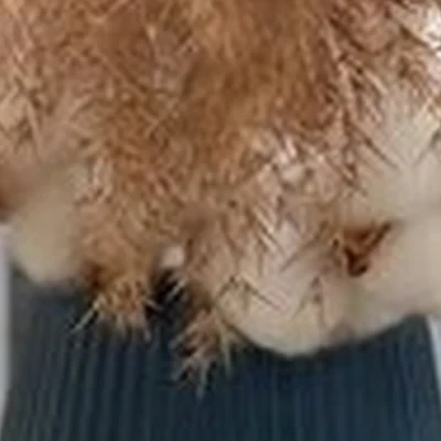 Beauty Coworking в Благовещенске улица Чайковского, 7