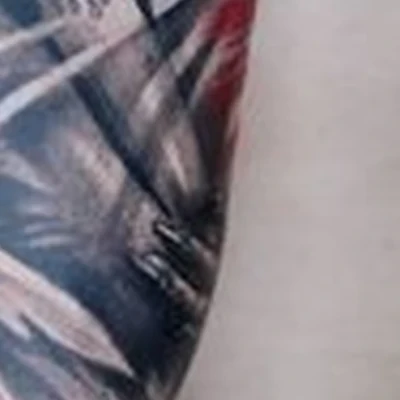 Ден Плотников