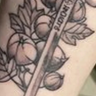 Cranium в Санкт-петербурге Гражданский проспект, 41 лит А