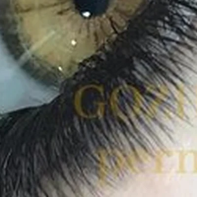 Gozhimova permanent