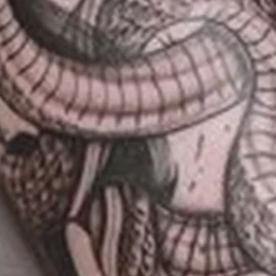 Rabbit tattoo