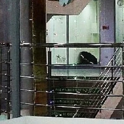 Family club в Астрахани Астраханская область, Астрахань, Николая Островского улица, 119/8, 2 этаж