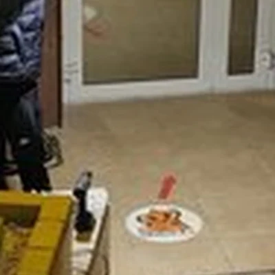 Расписной Нарцисс