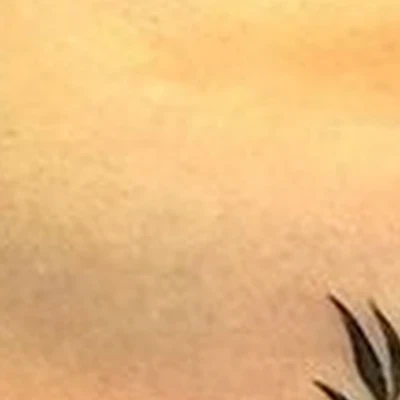 Beauty of skin