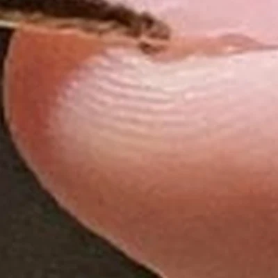 Nova в Новошахтинске Базарная улица, 26а