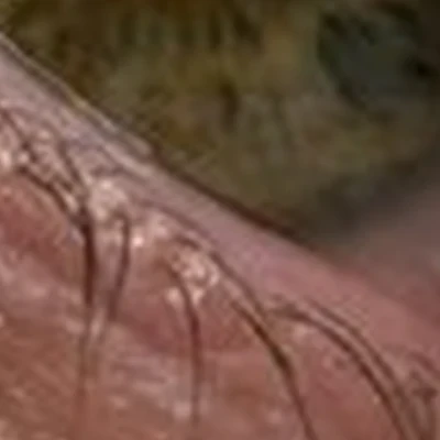 Школа-студия Дианы Сперанской