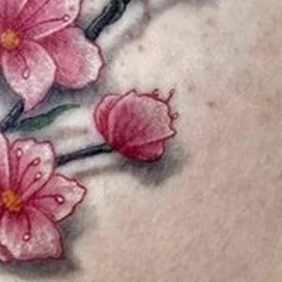 Мастер в Чите улица Богомягкова, 12а