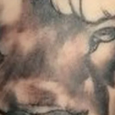 Tattoo Life Style