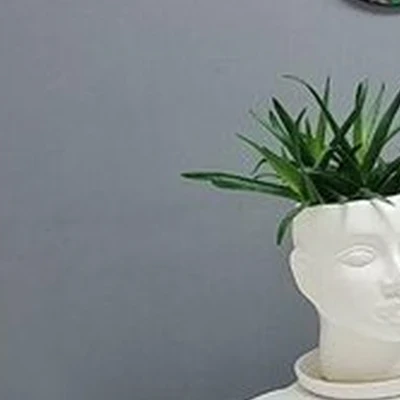 Body dream в Красноярске Комсомольский проспект, 18