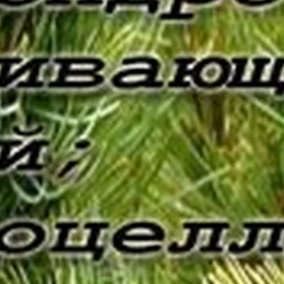 Олимп в Железногорске Северная улица, 1г