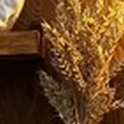 SpaШамбала в Бийске Петра Мерлина улица, 51