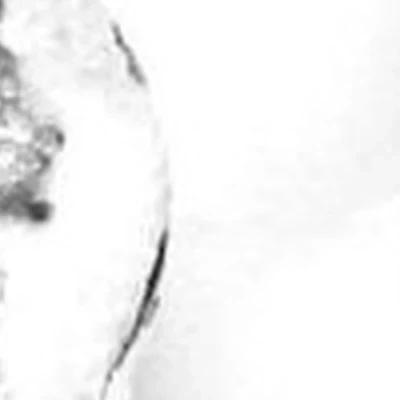 NVA studio в Владивостоке Мичуринская улица, 2