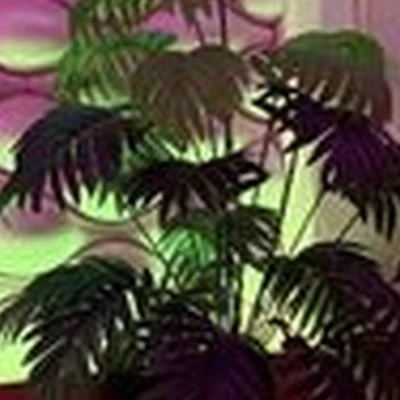 Float Spa в Ижевске улица Холмогорова, 20