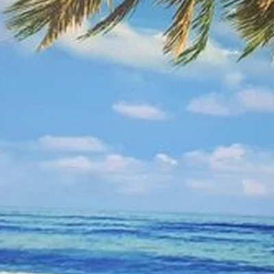 Гармония в Сочи Есауленко, 4/5