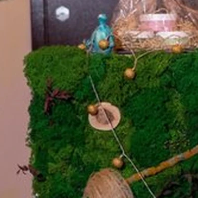 Твоё Время в Тольятти улица 40 лет Победы, 61а