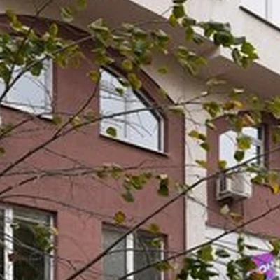 Три слона в Самаре улица Алексея Толстого, 75