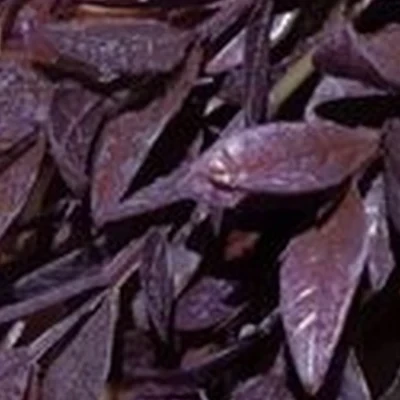 Стимул в Нижний тагиле улица Карла Маркса, 69