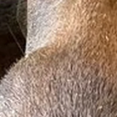 Дельта в Новый уренге Производственный проезд, 17/1