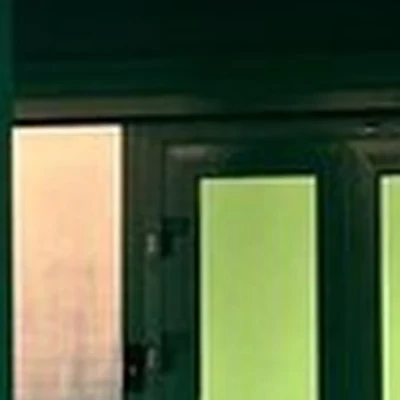 Кедр в Ноябрьске 60 лет СССР улица, 56