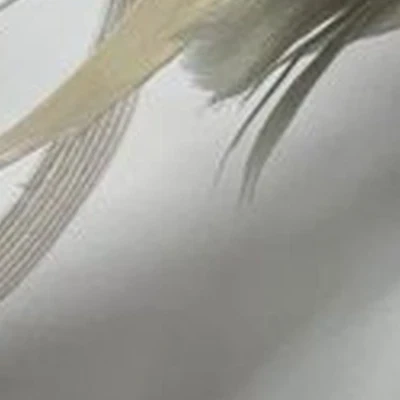 Пыль в Тейково Першинская улица, 27