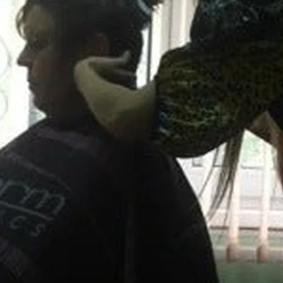 Гармония красоты в Бийске Алтайский край, Бийск, Вали Максимовой, 5, 1 этаж