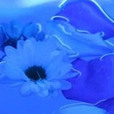 Погружение в Чите улица Столярова, 39