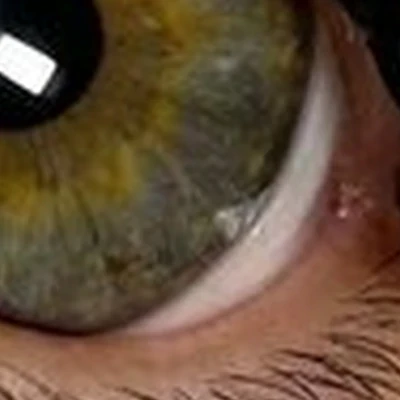 Missar studio в Камызяке улица Максима Горького, 55г