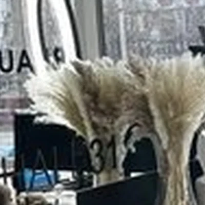 Beauty hall в Белгороде улица Губкина, 48а