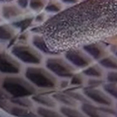 Beauty lab в Воронеже Олеко Дундича, 11