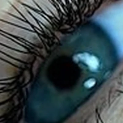 Beauty Sekta в Тамбове Сабуровская улица, 2а к1