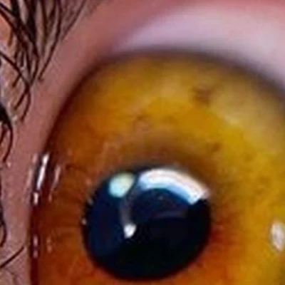 For You в Гурьевске Пражский бульвар, 3Б