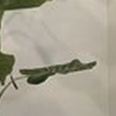 Anox в Краснодаре им. Героя Георгия Бочарникова, 14/1