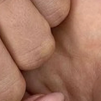 Elle в Ноябрьске Холмогорская улица, 1