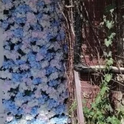 Angel studio в Казани улица Академика Завойского, 17а