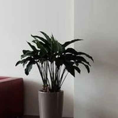 РЖД-Медицина в Новосибирске Владимировский спуск, 2а к3