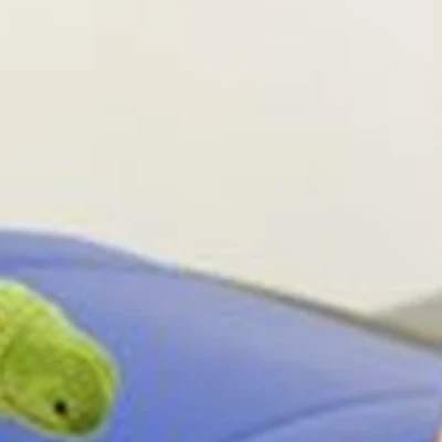 Avicenna в Армавире улица Халтурина, 95