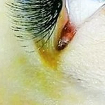 Eva в Белгороде проспект Богдана Хмельницкого, 139Б