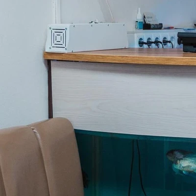 Оазис в Ижевске Россия, Удмуртская Республика, Ижевск, улица 40 лет Победы, 66, 1 этаж