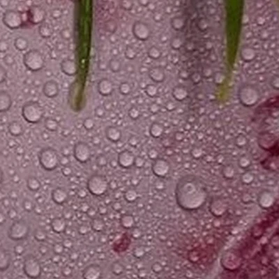 Antares в Норильске Бауманская улица, 10