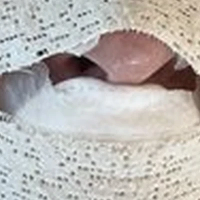 Парижанка в Елизове Рабочая улица, 4