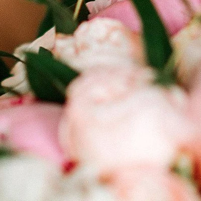 Елены Ширманкиной