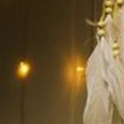 Белые Крылья