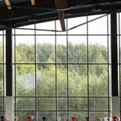 Волна Сибири