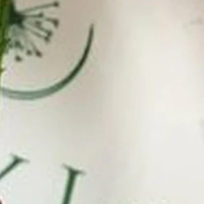 Beauty Love в Северодвинске улица Карла Маркса, 21