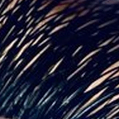 Brilliant studio в Владивостоке проспект 100-летия Владивостока, 163